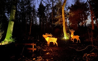 Kerstwandeling-2024-00006