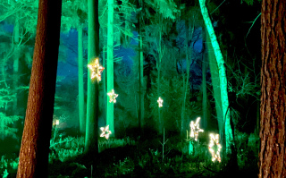 Kerstwandeling-2024-00011